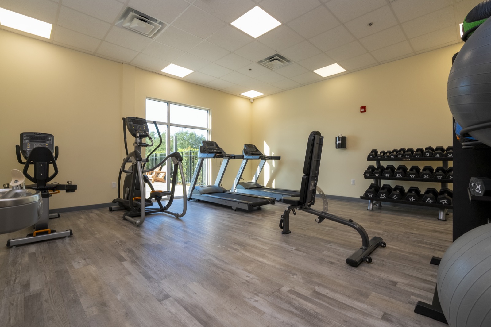SPOT X gym with treadmills, weights and exercise equipment
